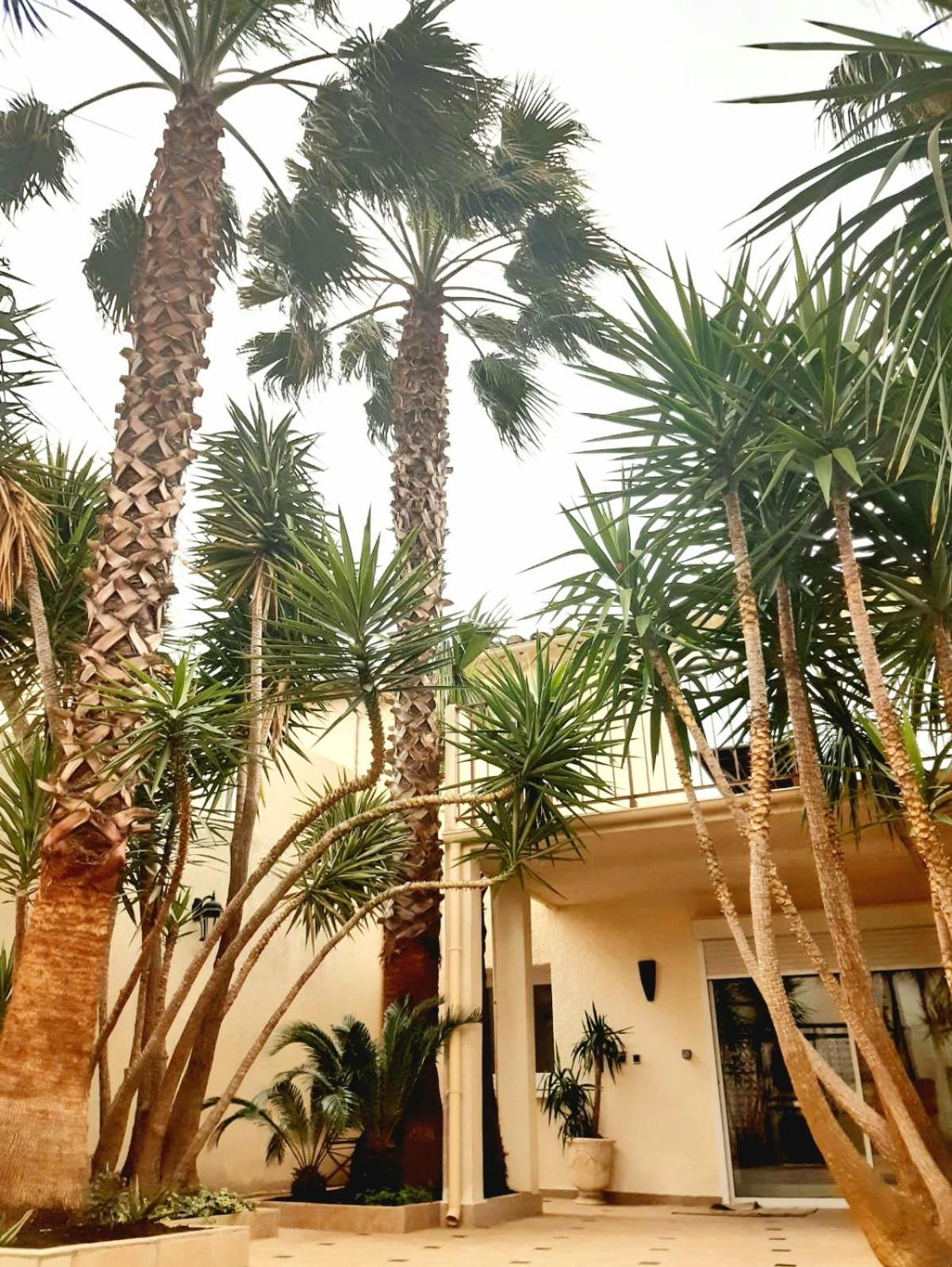 L'Olivier - Centre village - Au calme