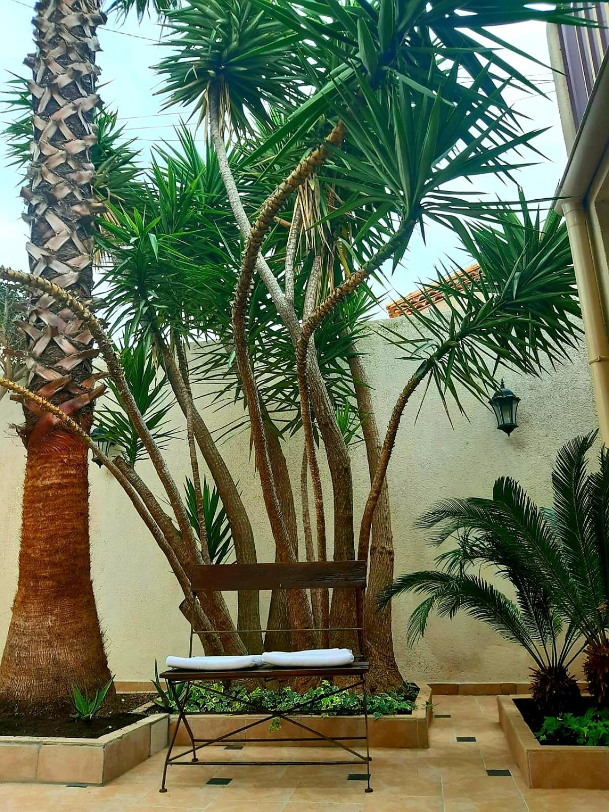 L'Olivier - Centre village - Au calme