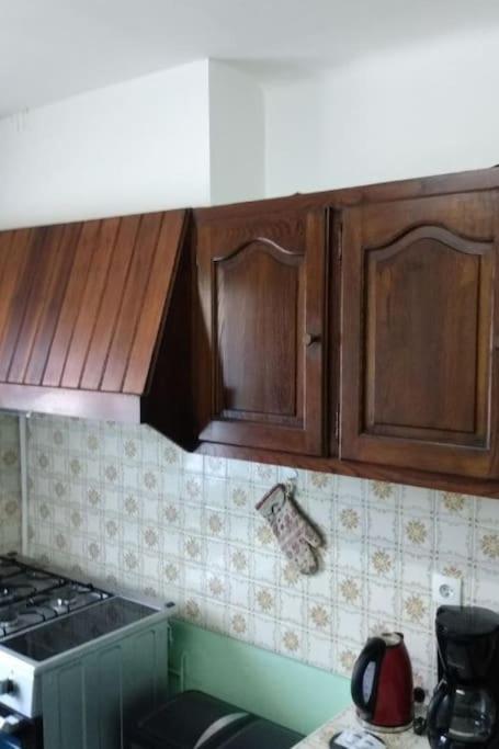 Spacieuse villa avec jardin a deux pas du centre