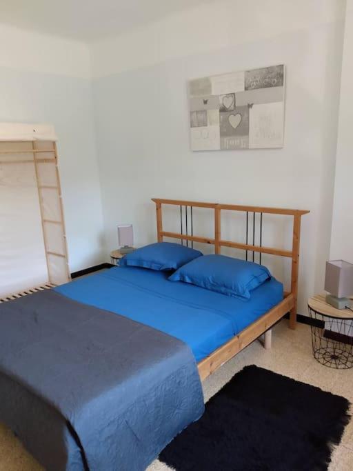 Spacieuse villa avec jardin a deux pas du centre