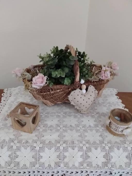 Spacieuse villa avec jardin a deux pas du centre