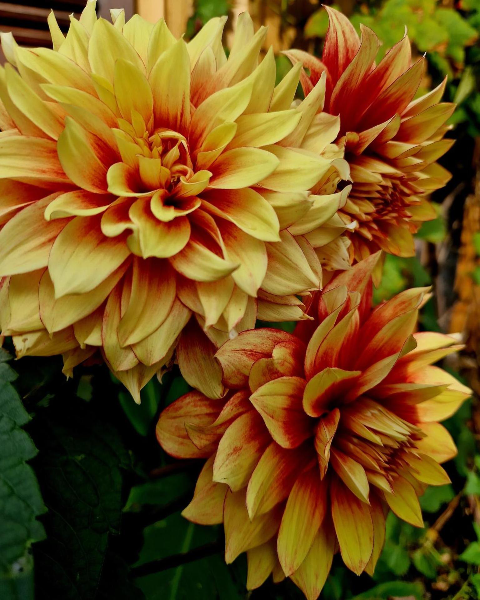 Riad Agraba, 1001 nights