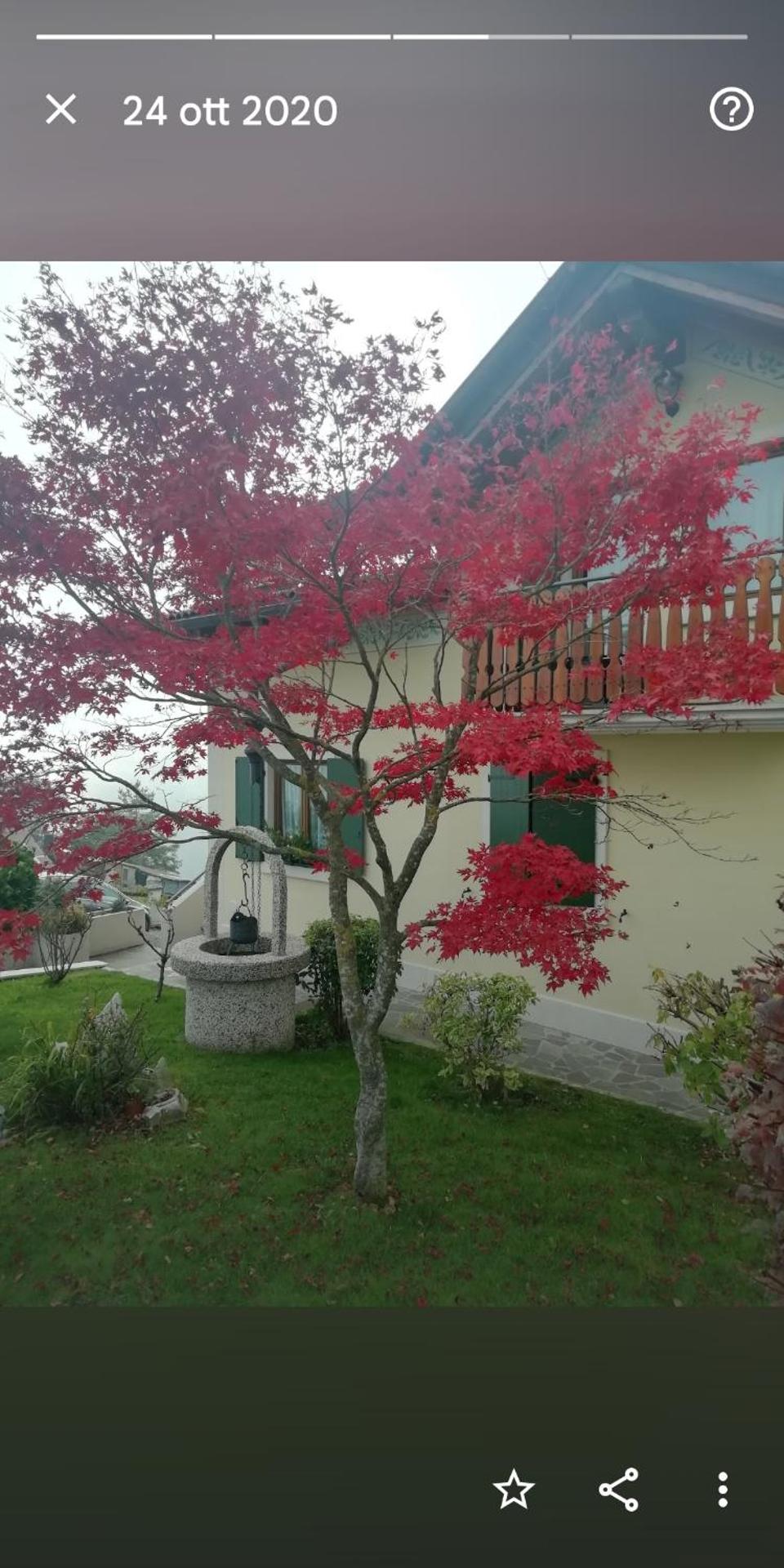 Villetta di montagna