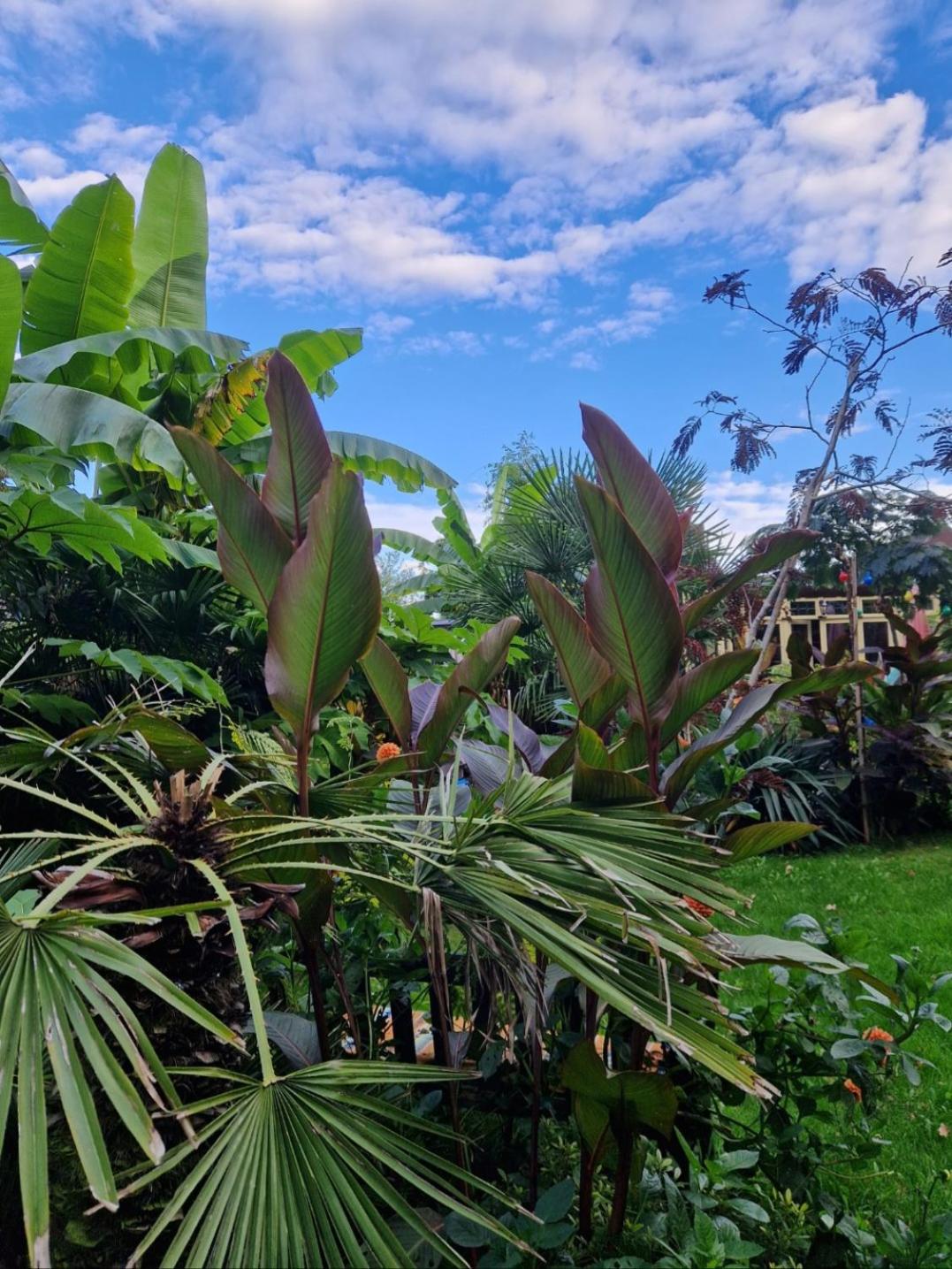 Riad Agraba, 1001 nights