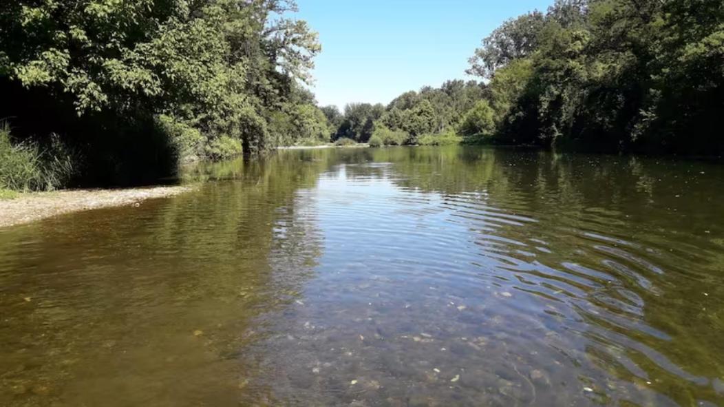 Le Phoenix 30 m2 - lumineux et bien agencé