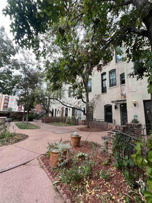 Affordable & Chic RiNo/LoDo/Dtown Loft- Walkable