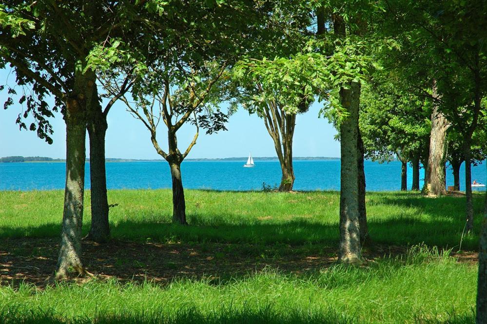 Séjour bucolique au lac du der