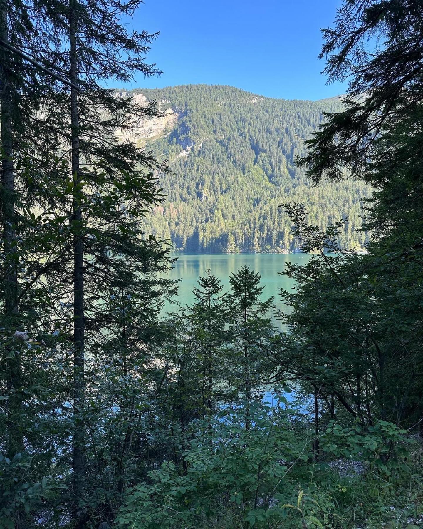 Val di Non Apartment