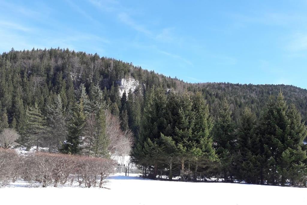 Duplex 59m2 - proche centre - balcon plein sud