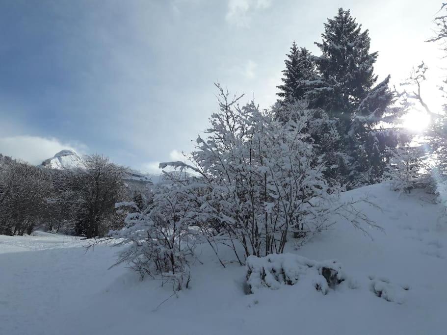 Duplex 59m2 - proche centre - balcon plein sud