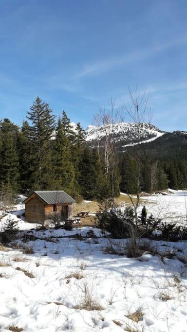 Duplex 59m2 - proche centre - balcon plein sud