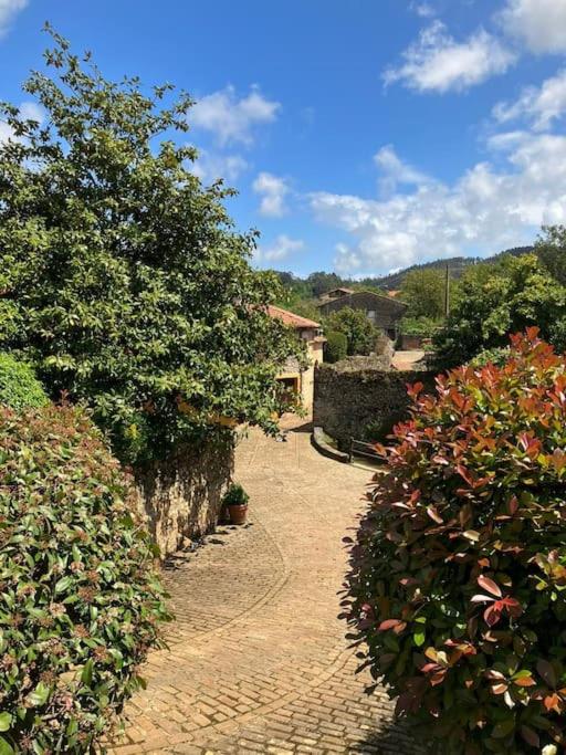 Apartamento Los Laureles, Novales