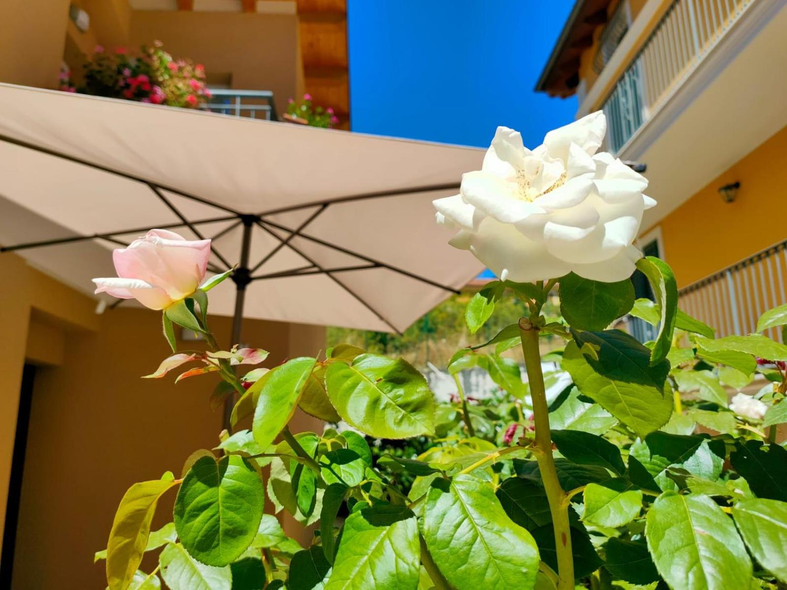 Villino Maria Pia, appartamento in villino in centro storico L'Aquila