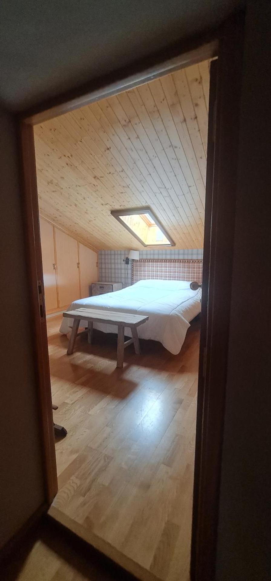 Salamandra Panticosa