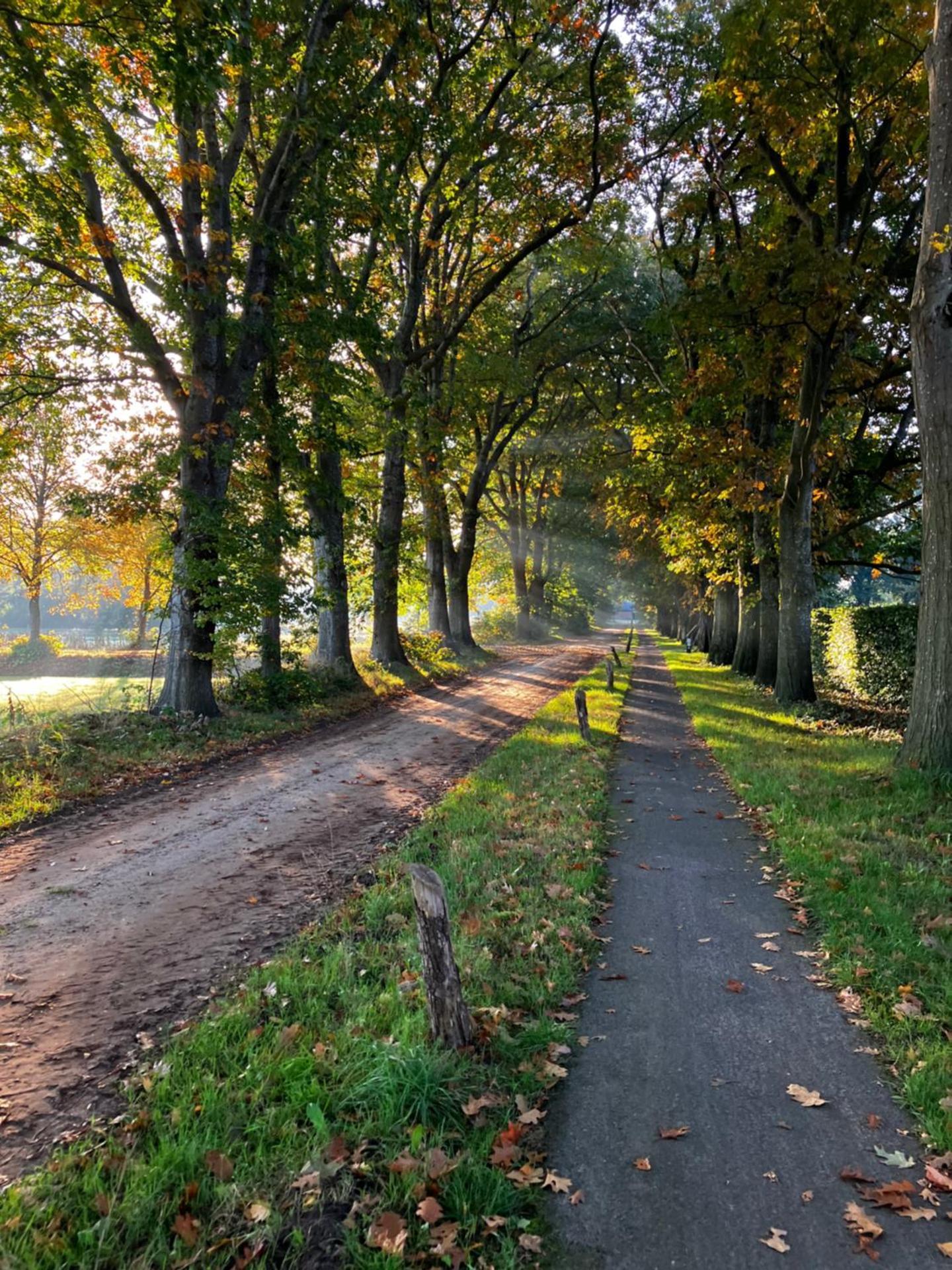 De Juffer van Batinghe