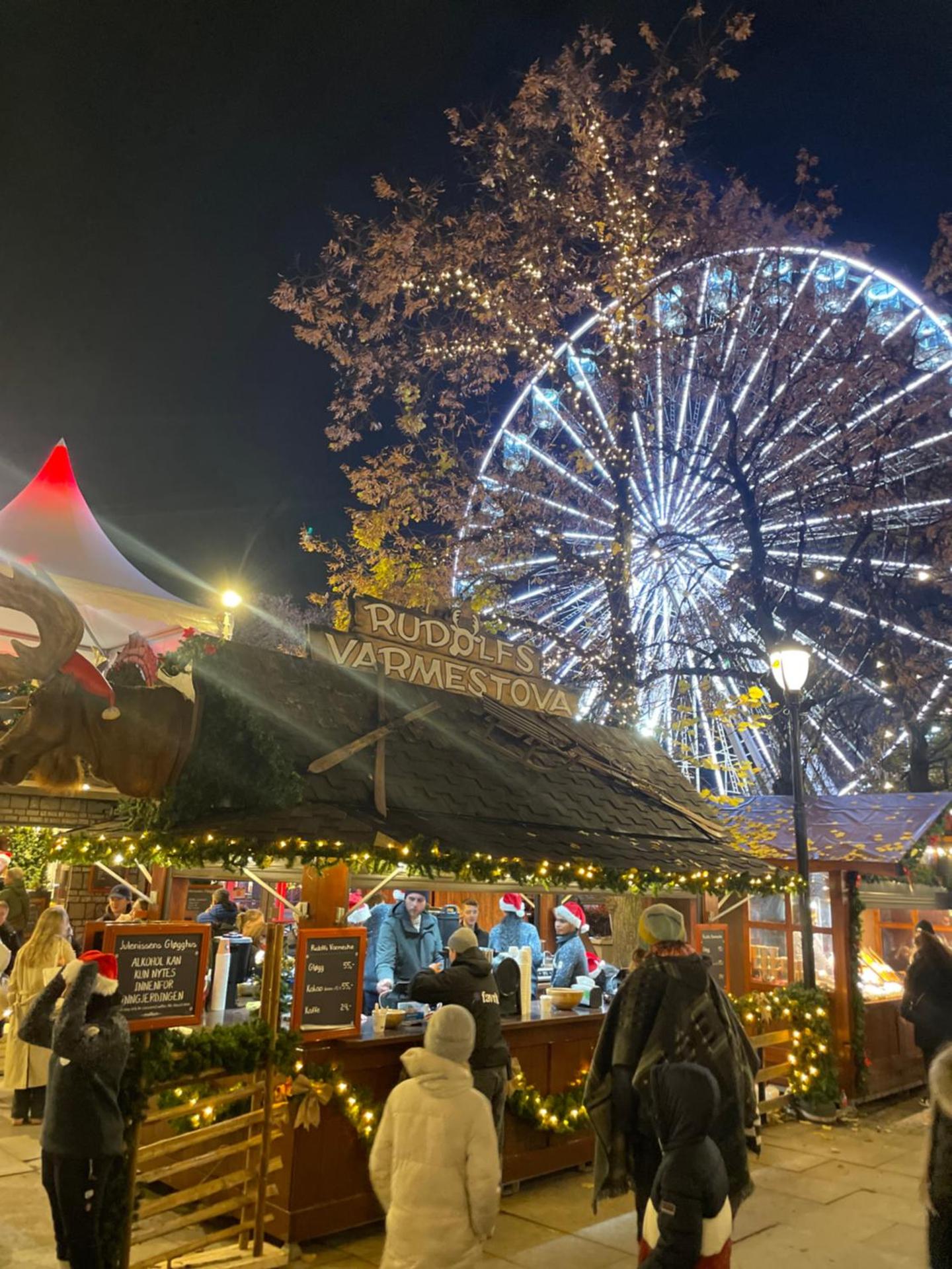 Lovely central apartment with two large bedrooms nearby Oslo Opera, vis a vis Botanical garden