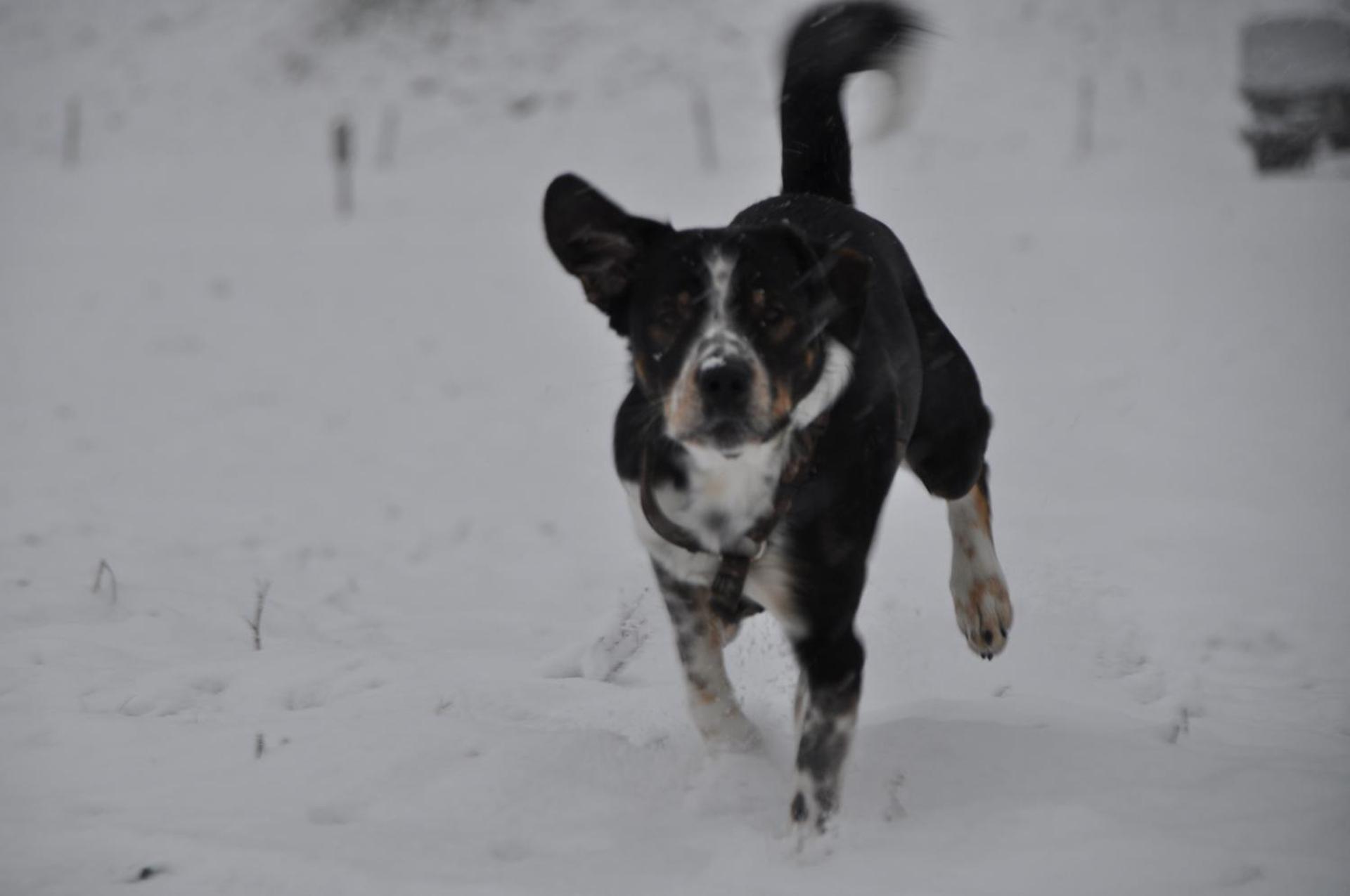 Hotel Engelberg "mein Trail Hotel"