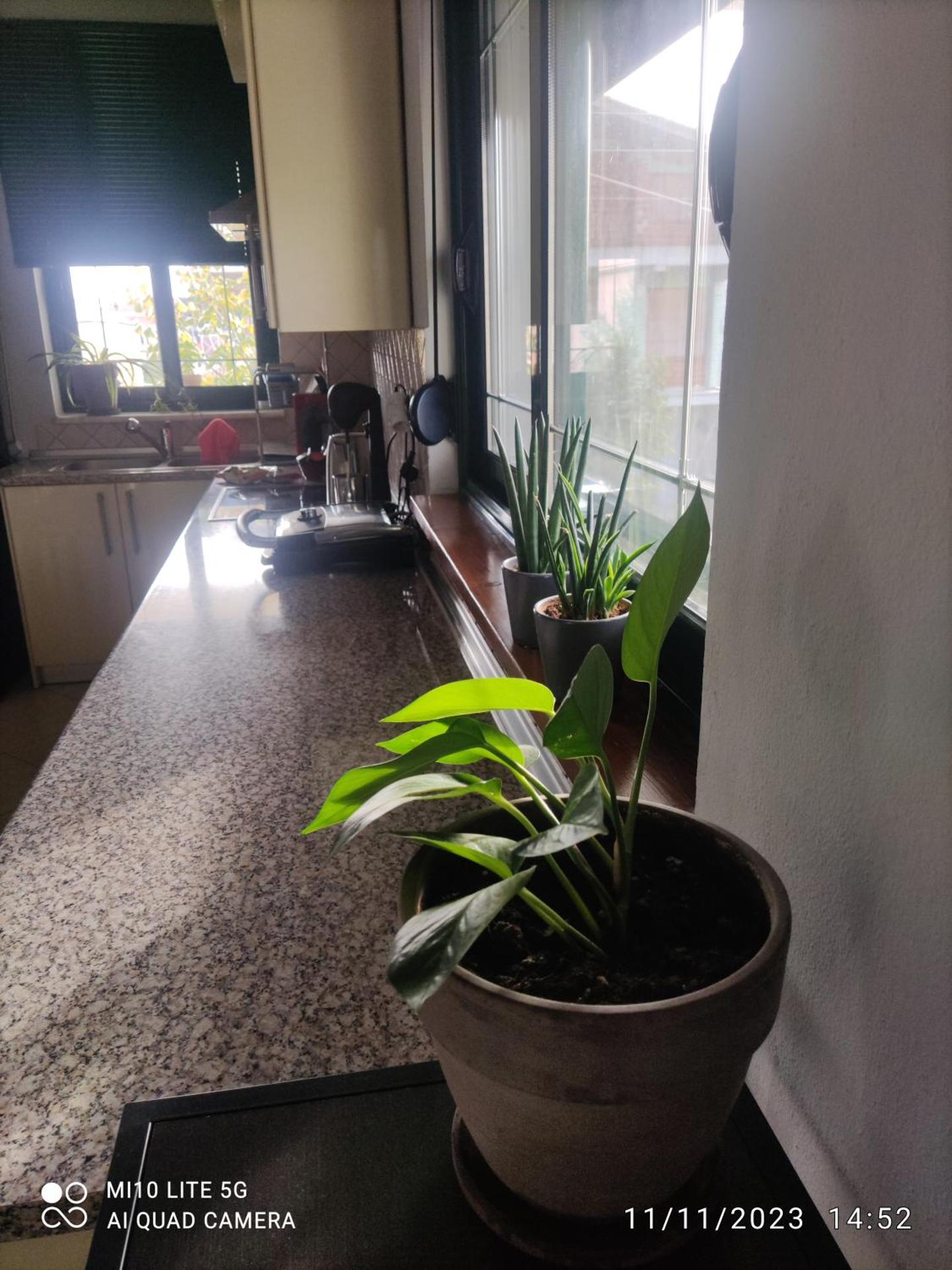 HOME SWEET HOME Διαμέρισμα 50τμ σε ήσυχη περιοχή