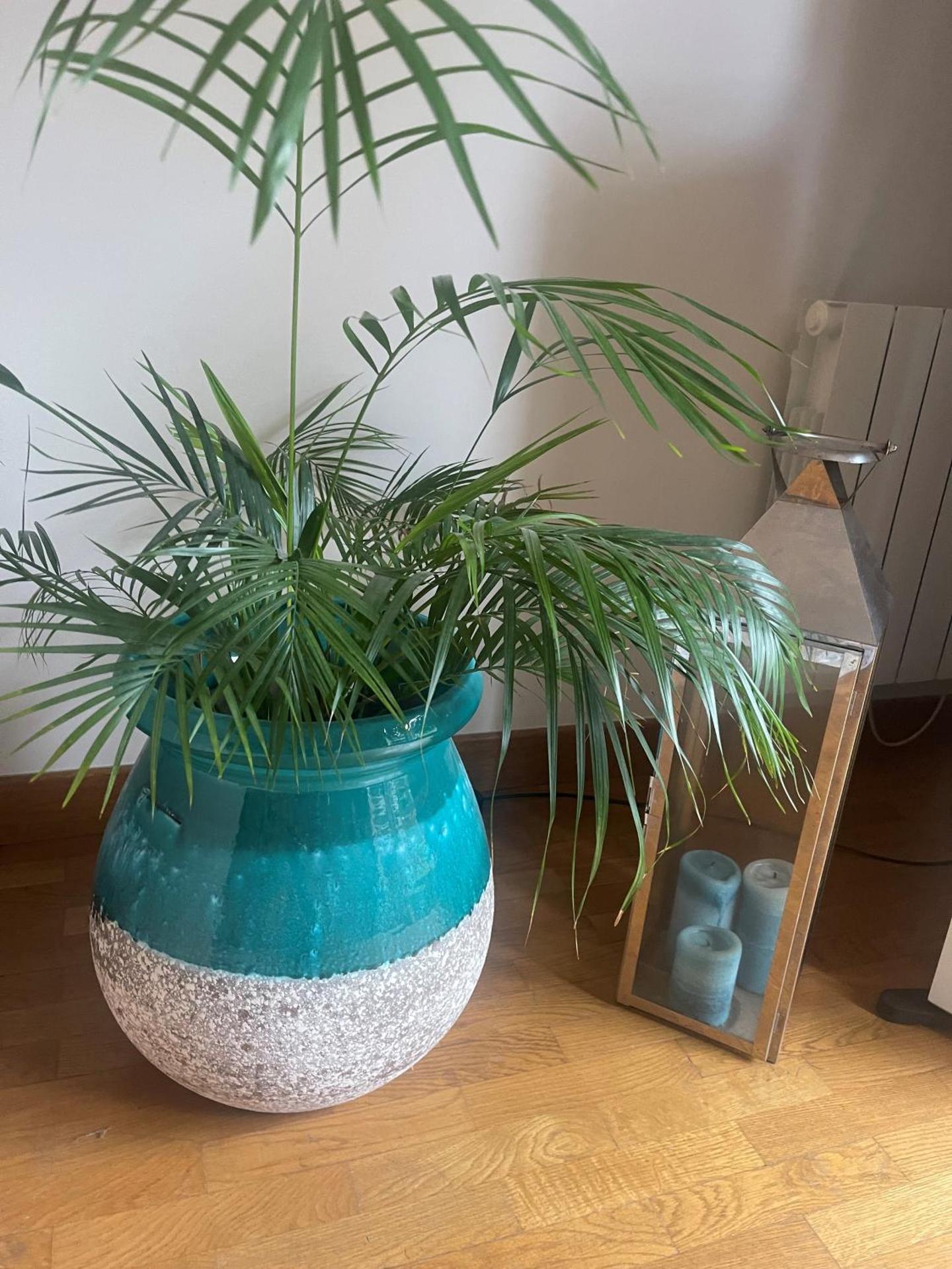 Paris & Versailles at your feet! Shared room in nice house