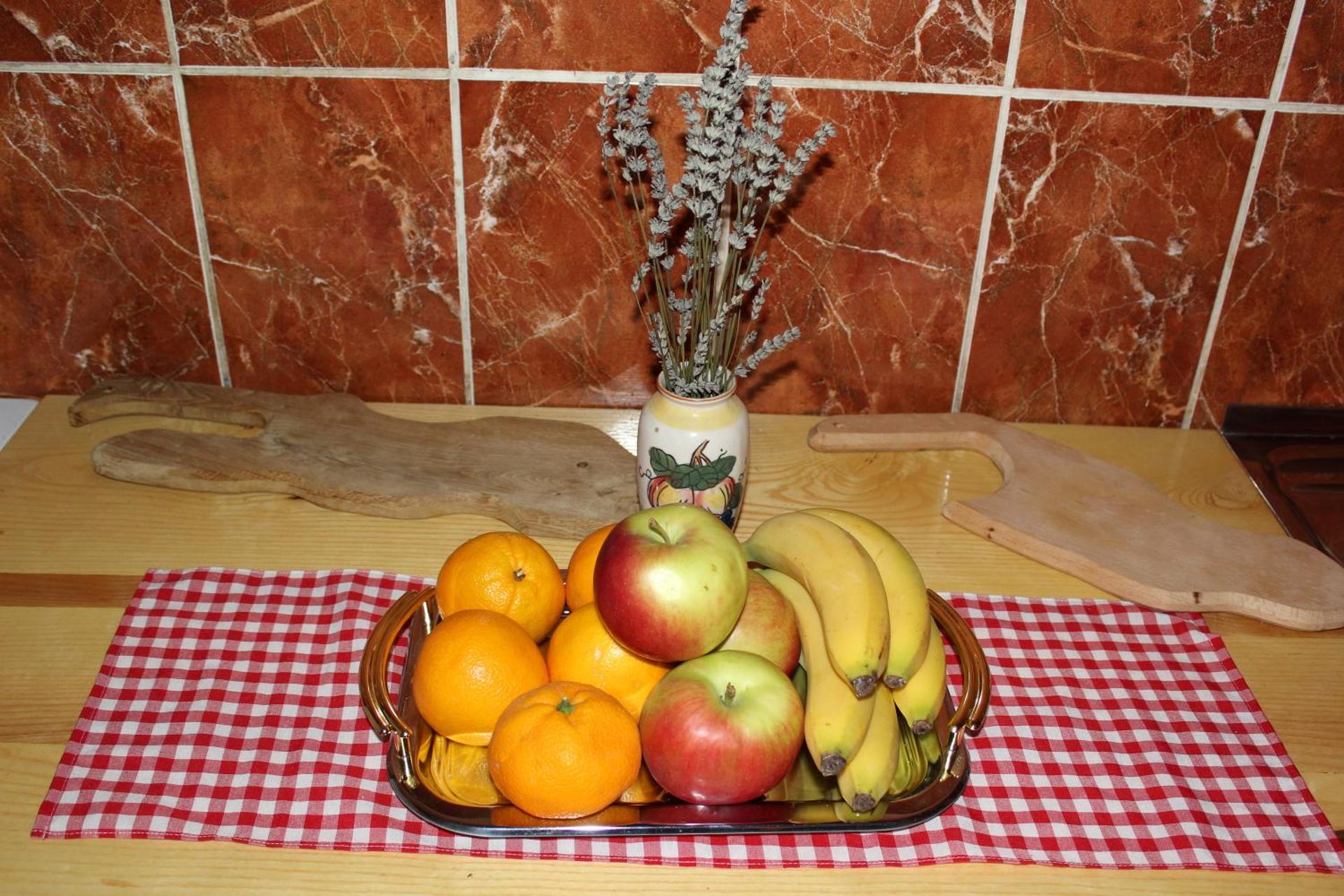 Kuća za odmor Šegota