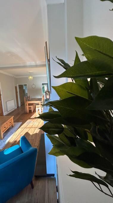 2 Bedroom Home Full Of Character