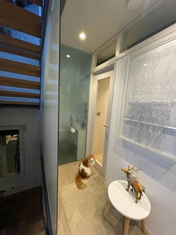 Modern self-contained Ground and Basement studios