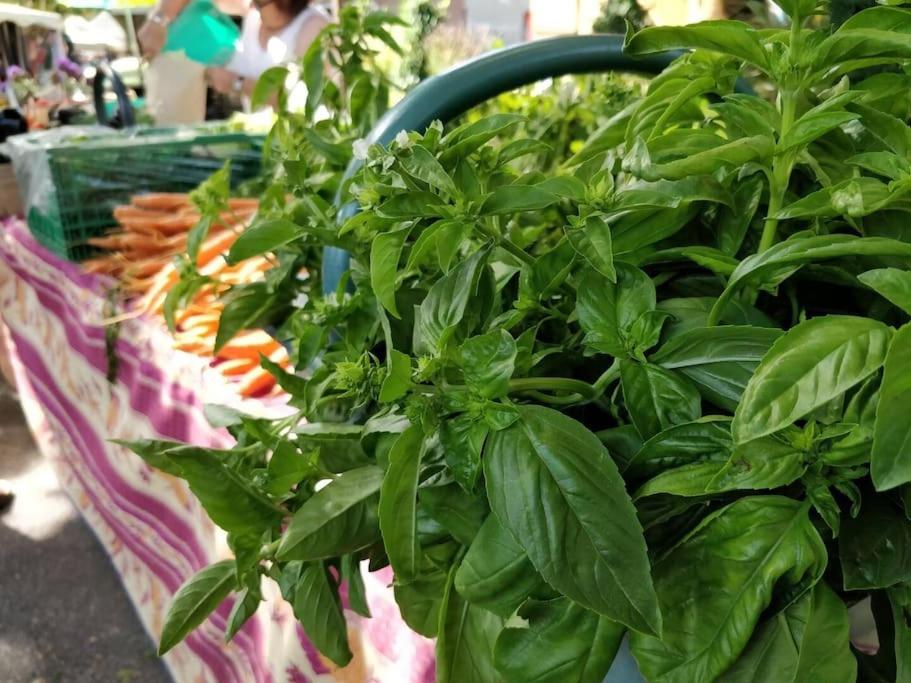 Maisonnette au pied du Mont Ventoux ste colombe