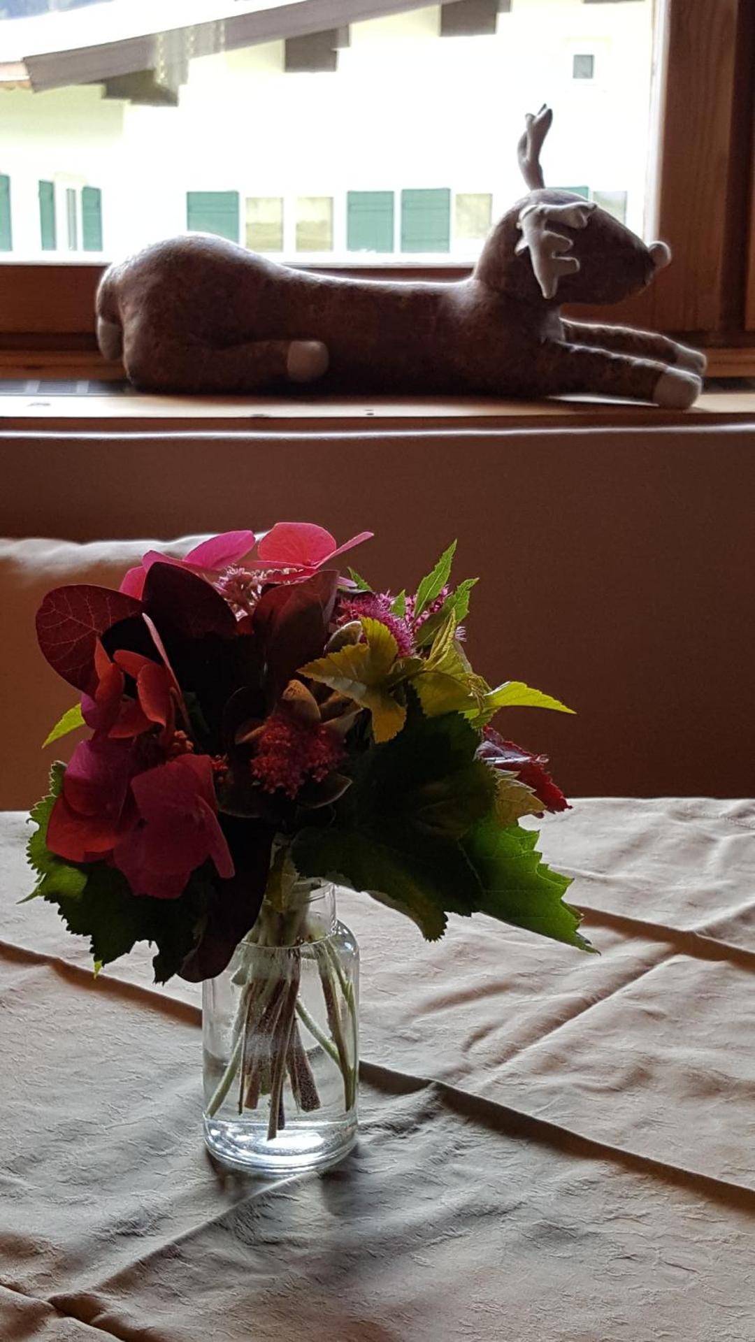 Appartement Seebacher