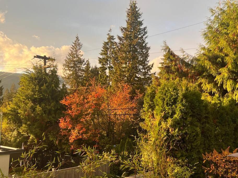 'Canyon Heights' Retreat (Grouse Mountain)