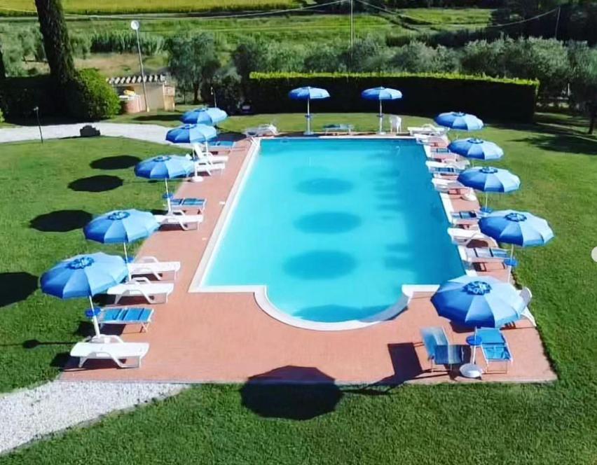 I Girasoli di Lari - Bilocale La Margherita