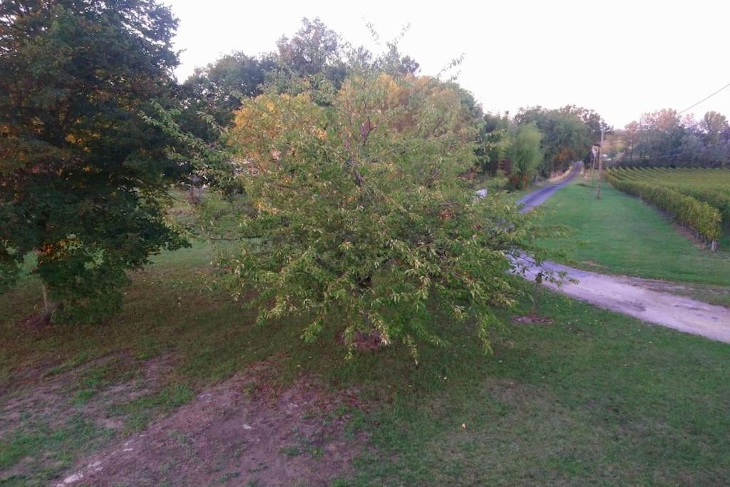 La Fricatour au Domaine de Brandeau