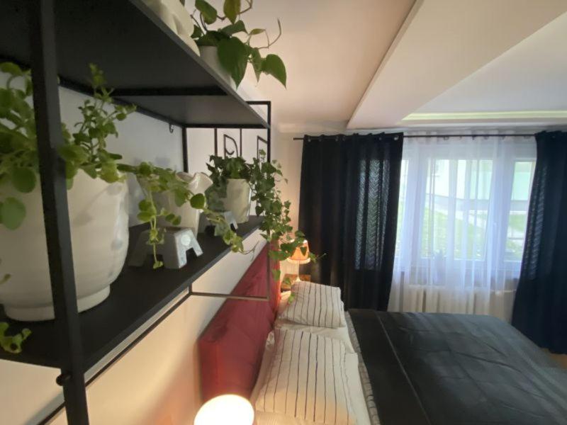 Apartament ,, Sen i Kawa'' - komfortowy nocleg w sercu aglomeracji
