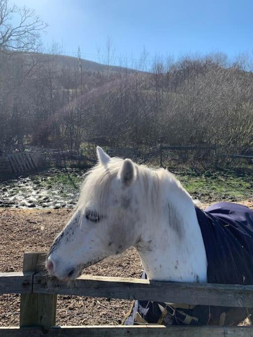 Old Canal-Side Cottage Taff Trail Merthyr Tydfil