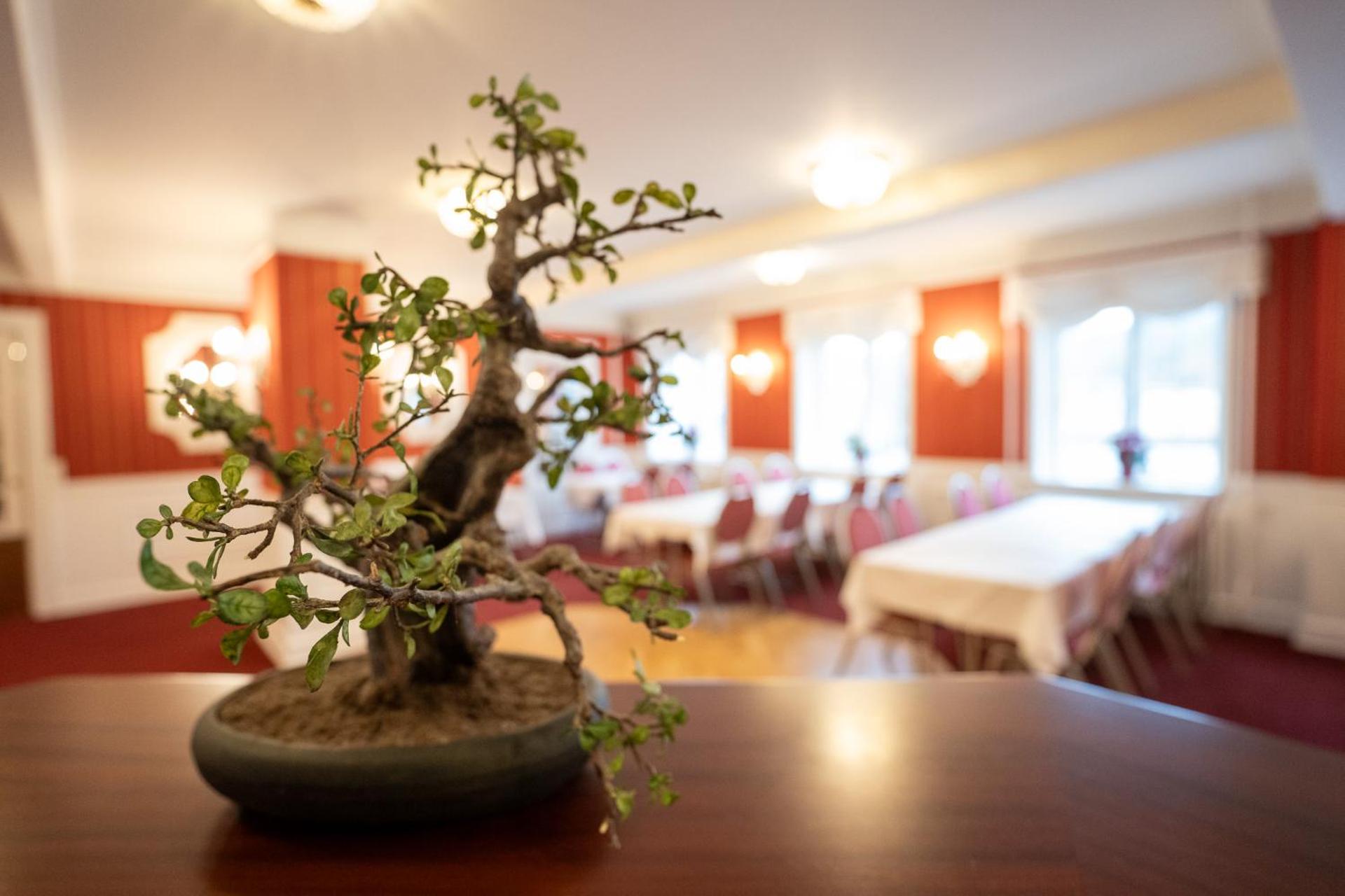 Frederiksværk Hotel