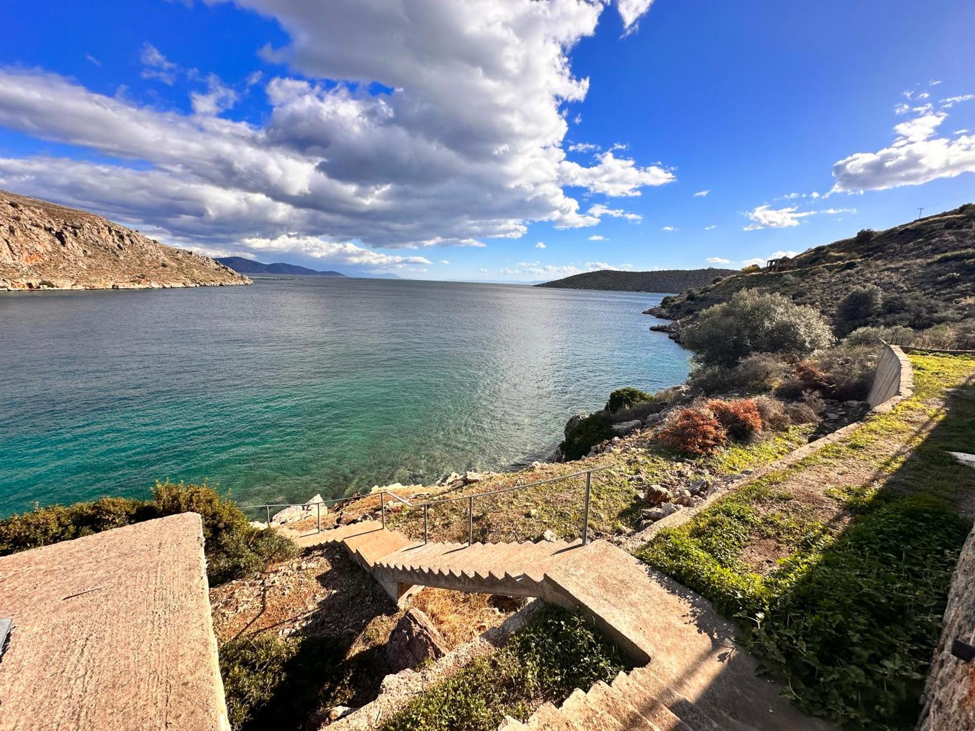 ΟΙ ΝΥΜΦΕΣ ΤΟΥ ΓΑΛΑΞΙΔΙΟΥ