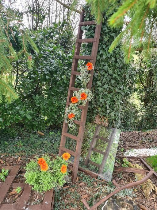 The Willow (Alton Towers, Animals, Peak District)