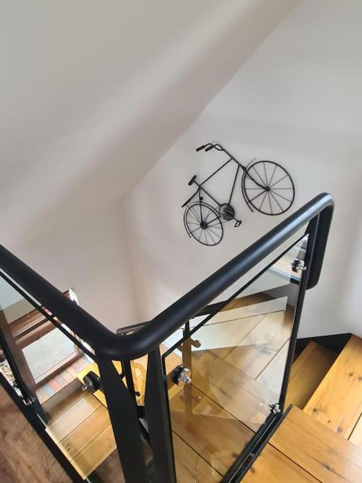 The Willow (Alton Towers, Animals, Peak District)