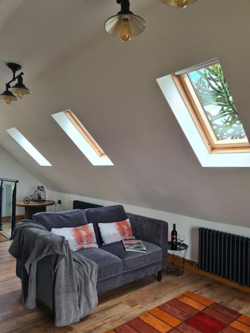 The Willow (Alton Towers, Animals, Peak District)