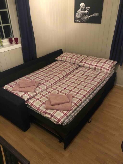 Hjemmekoselig leilighet i underetasje