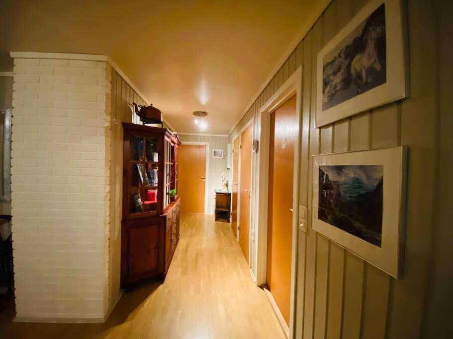 Hjemmekoselig leilighet i underetasje