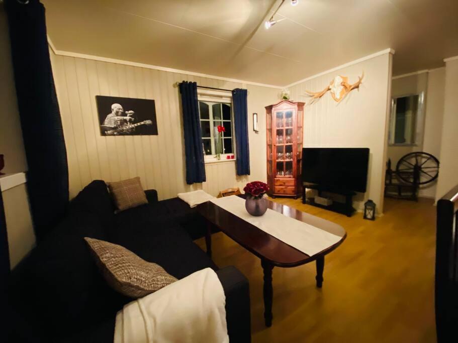 Hjemmekoselig leilighet i underetasje