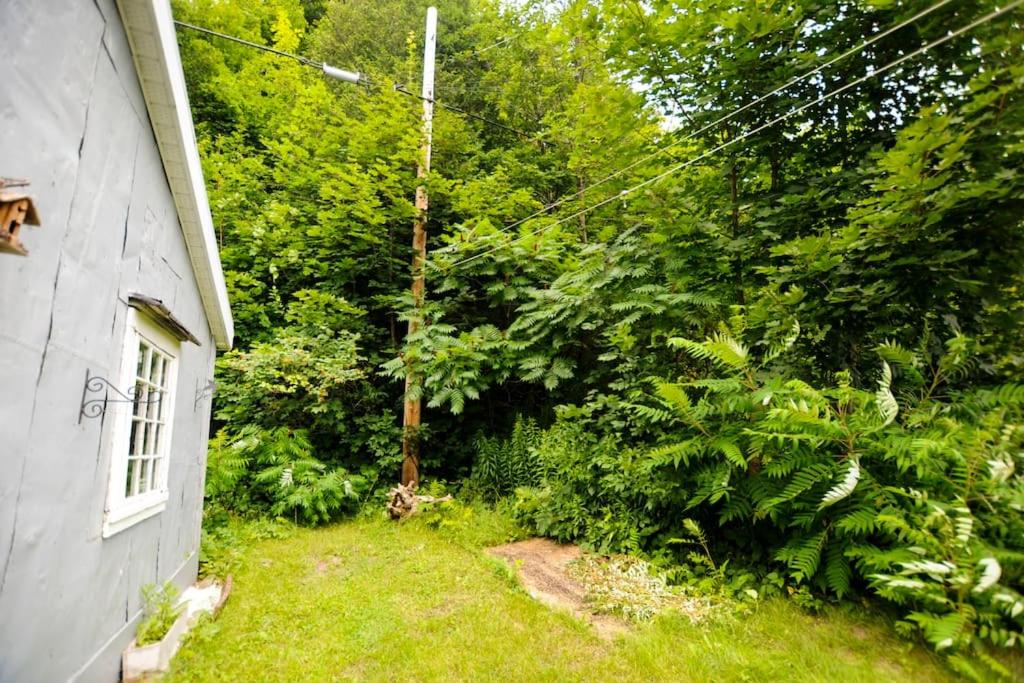 Confo28 Chute Montmorency Parking