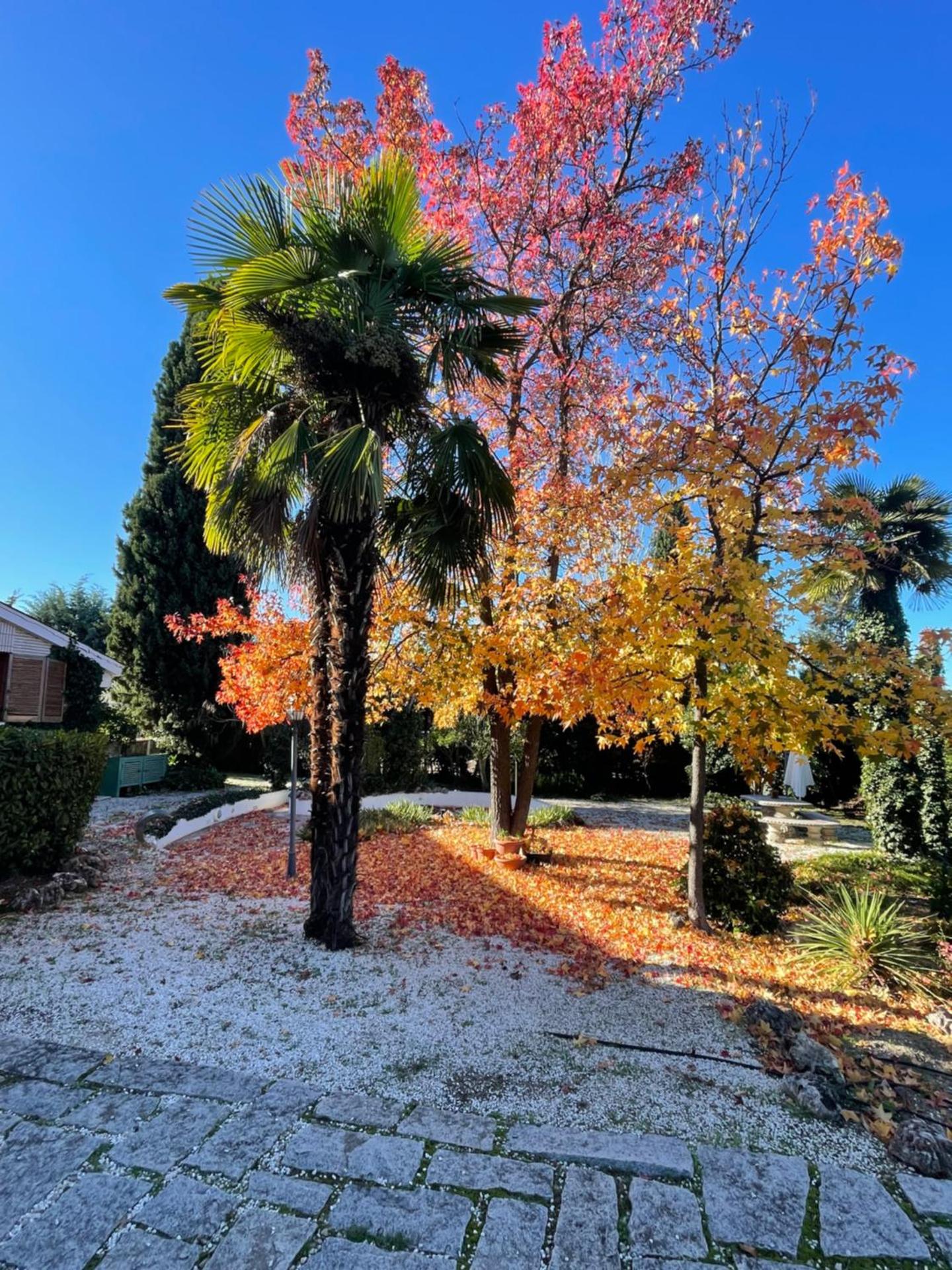 Espléndido dormitorio en Suite