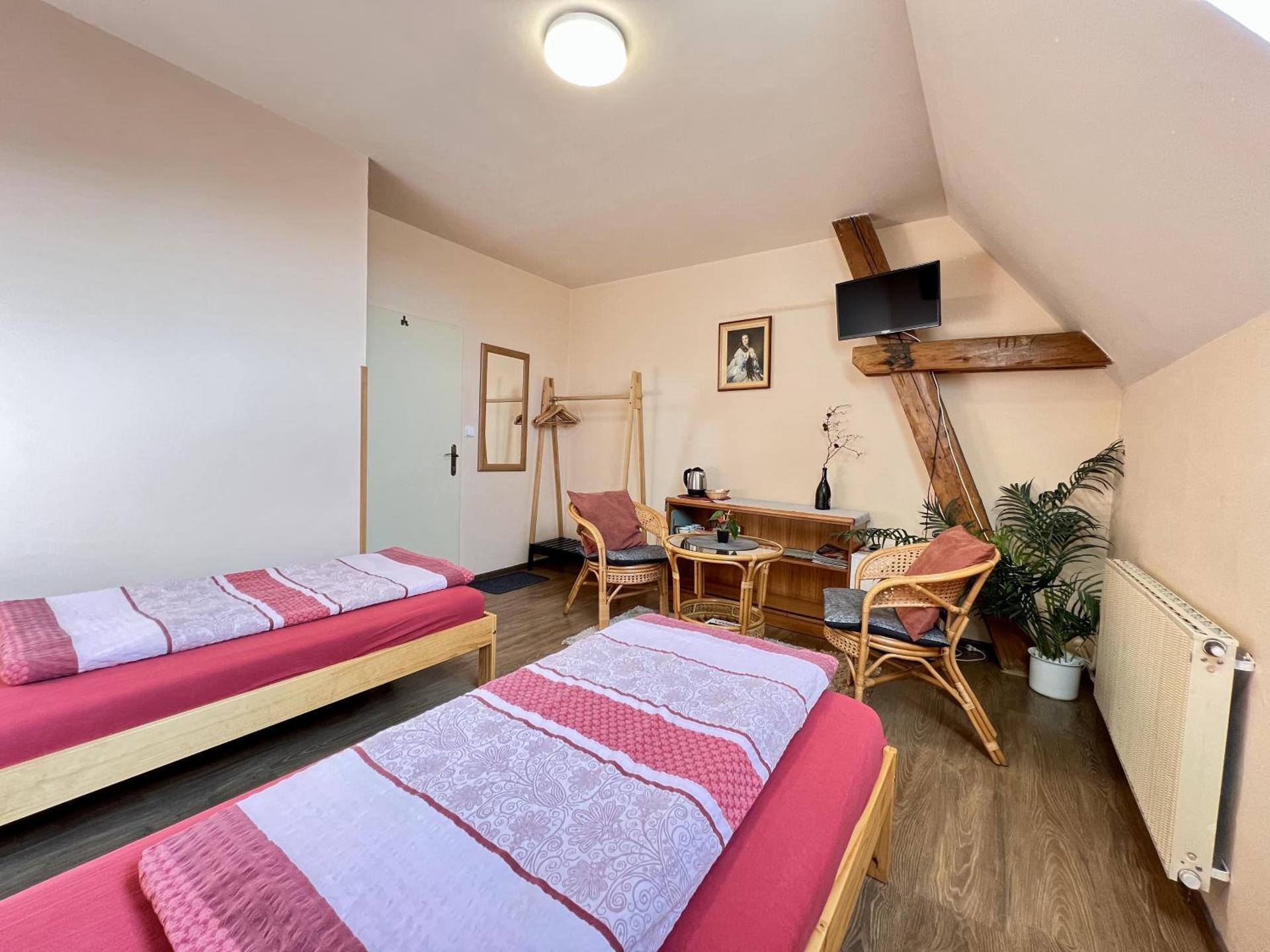 Double or Twin Room with Shower