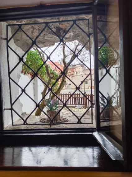 Guest House Olšakovský