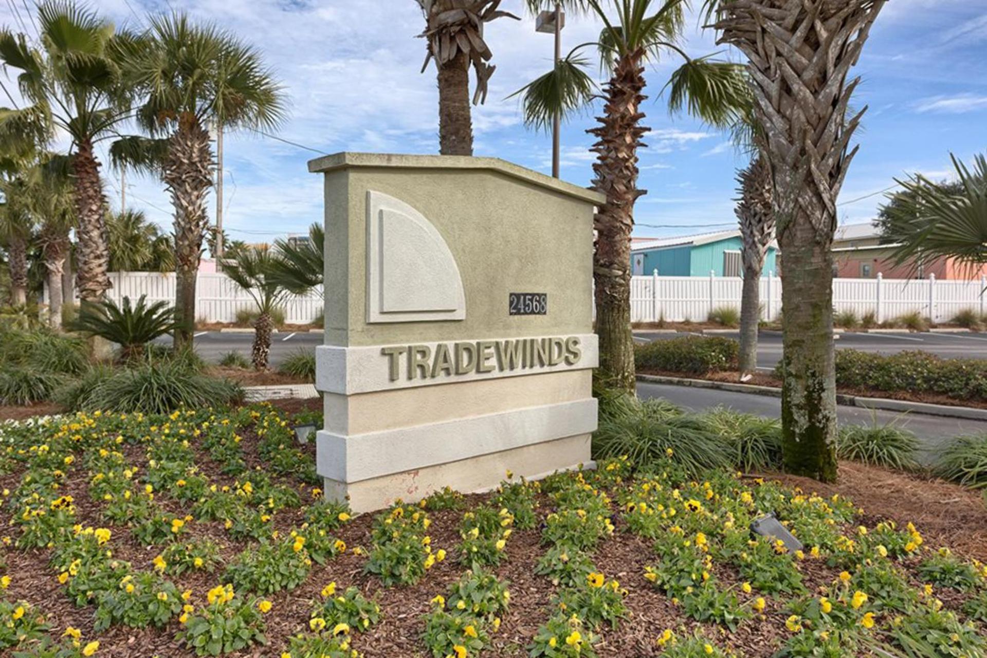 Tradewinds 501