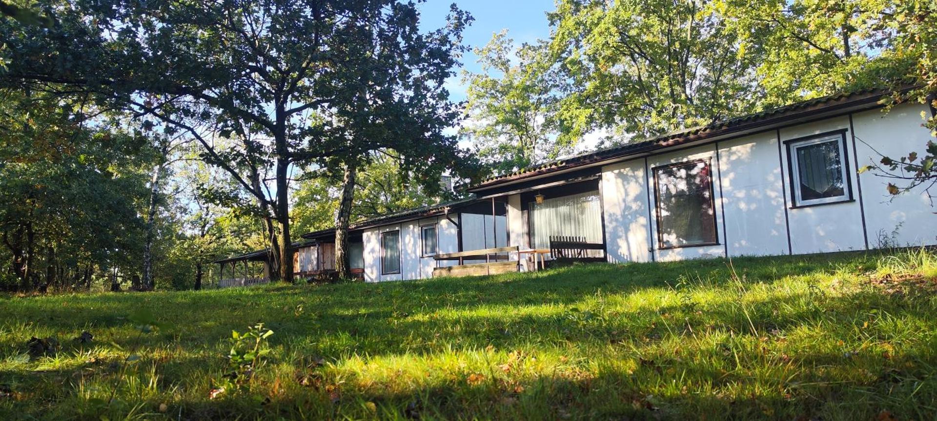 Kleine Freiheit- Nummer 1