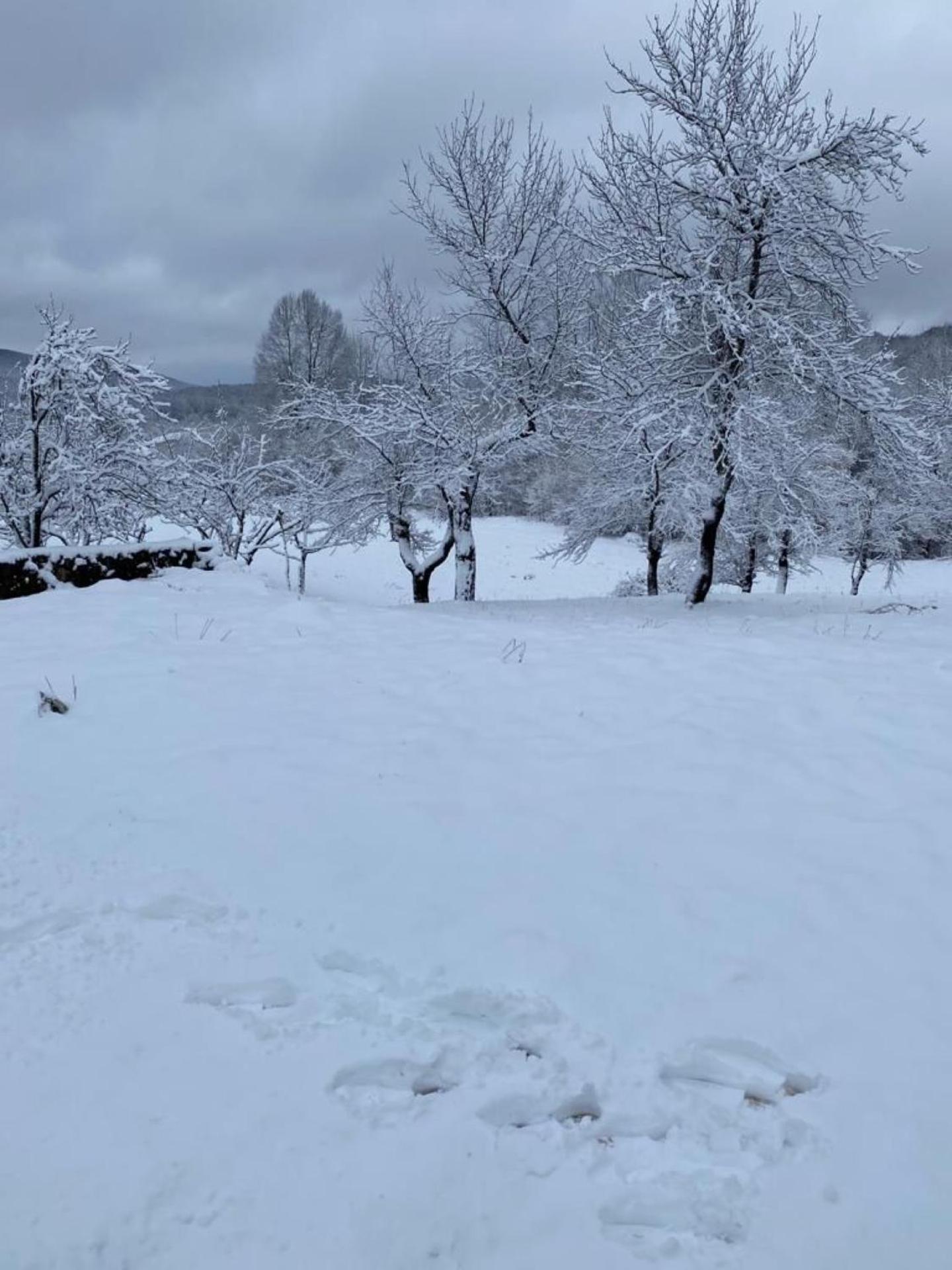 Apartments Jezerce 28