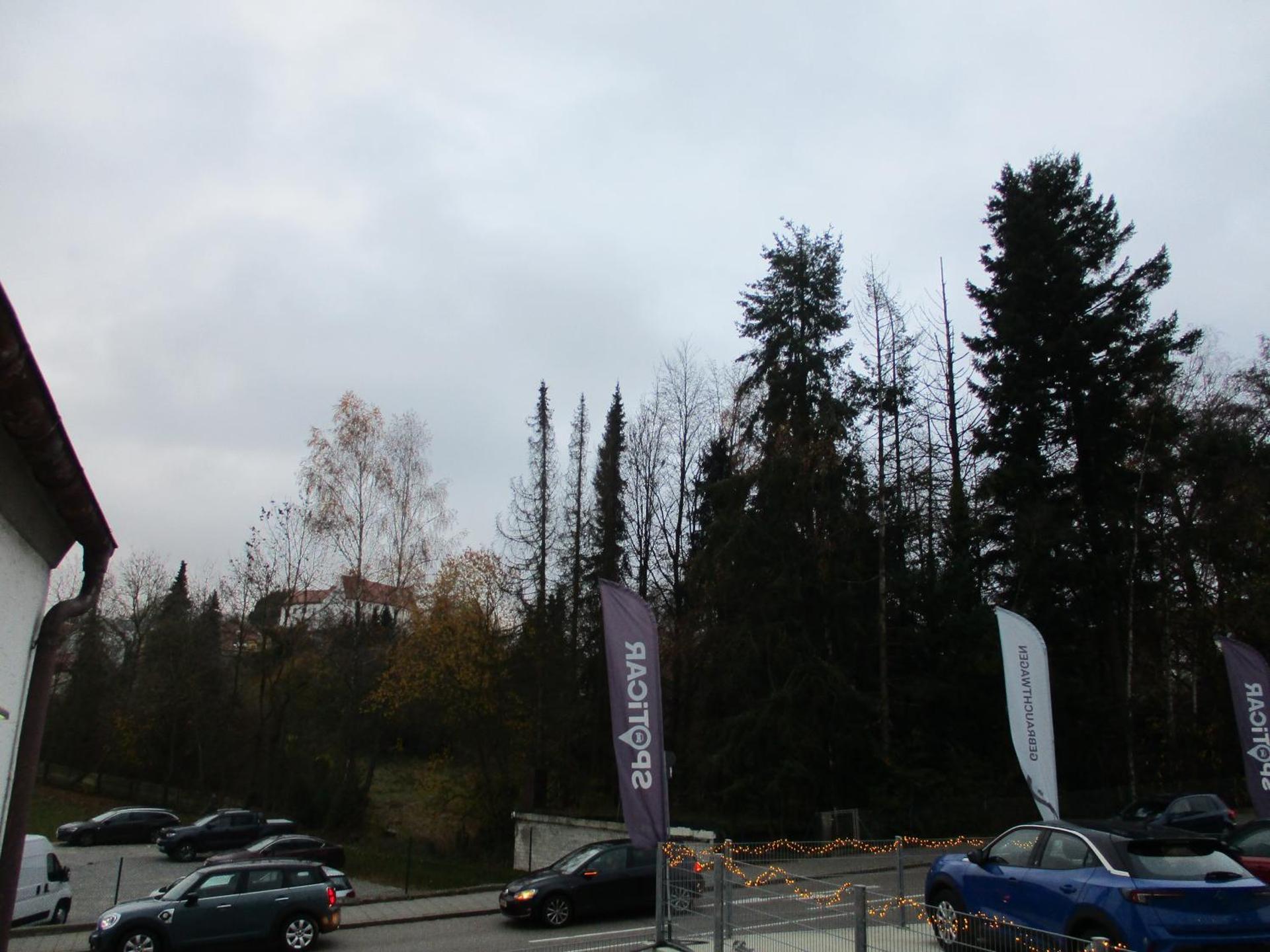 Parsberger Ferienwohnung 6