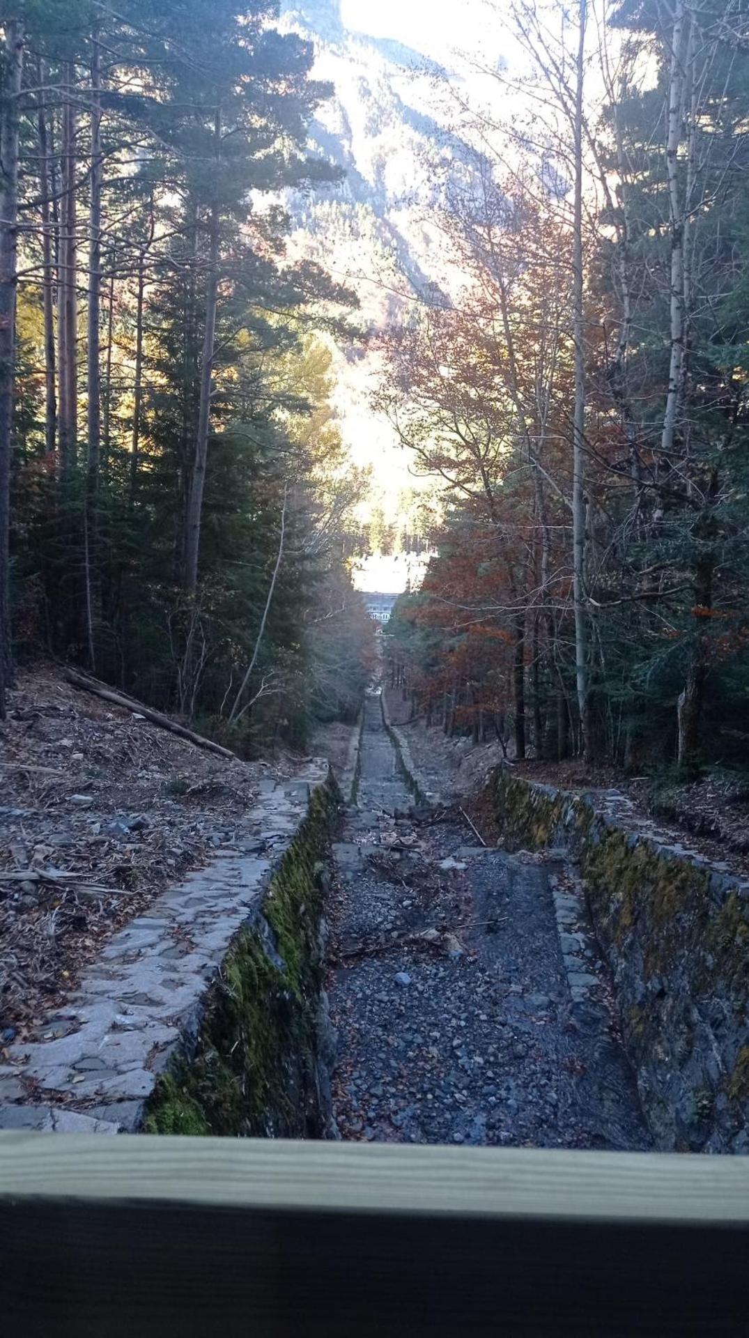 ssolivellasscanfranc